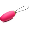 Вибростимулятор со встроенным аккумулятором SVAKOM ELVA SCB-02-PMR